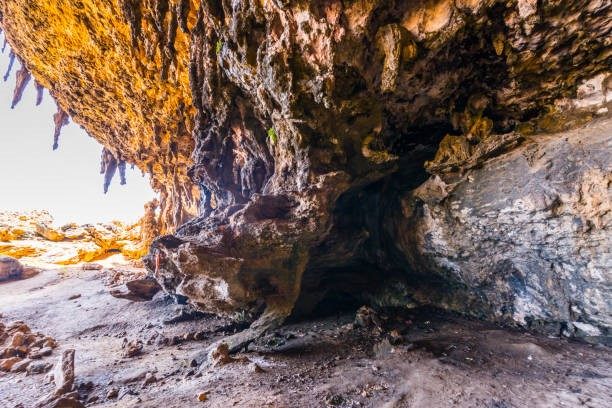 DAY: – 1 …/SOCOTRA -AYHFT - DELISHA - HADIBOO 