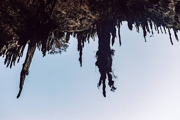 DAY: – 5 HADIBOO/ FLIGHT BACK 