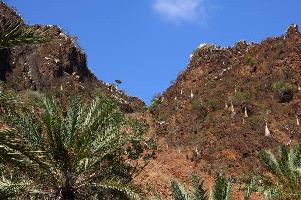 DAY: – 2 HADIBOO – DAXIM – FERMAHEN – DE’ERHOR 