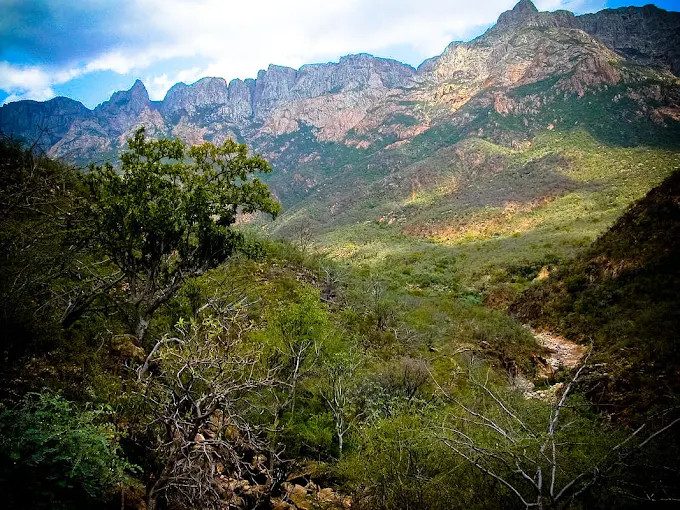 DAY: – 3 HADIBOO – DIRHUR – DAXAM – FERMHIN MOUNTAIN - HADIBOO